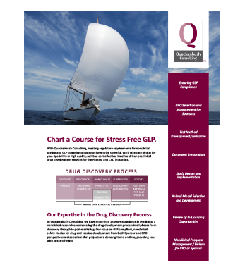 Quackenbush Consulting brochure
